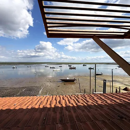 Feriehus Bois Les Pieds Dans L'eau, Vue Bassin, 5 Pers, Wifi - Fr-1-736-70