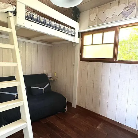 Feriehus Bois Les Pieds Dans L'eau, Vue Bassin, 5 Pers, Wifi - Fr-1-736-70 Claouey